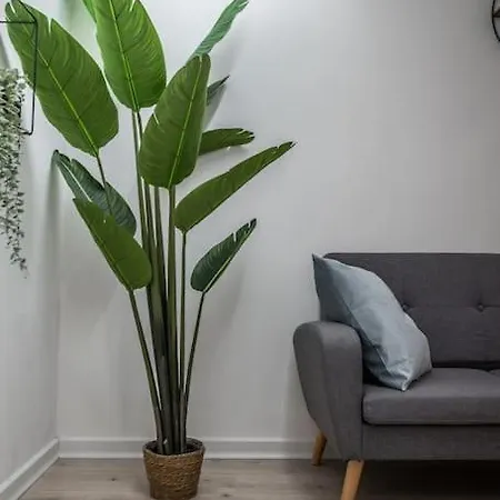 Appartement Ab - Via San Felice 6 Bologna